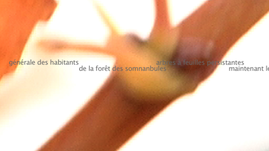 Le Murmure du monde - L'orée des vignobles 5 - Blandine Armand - créations vidéos