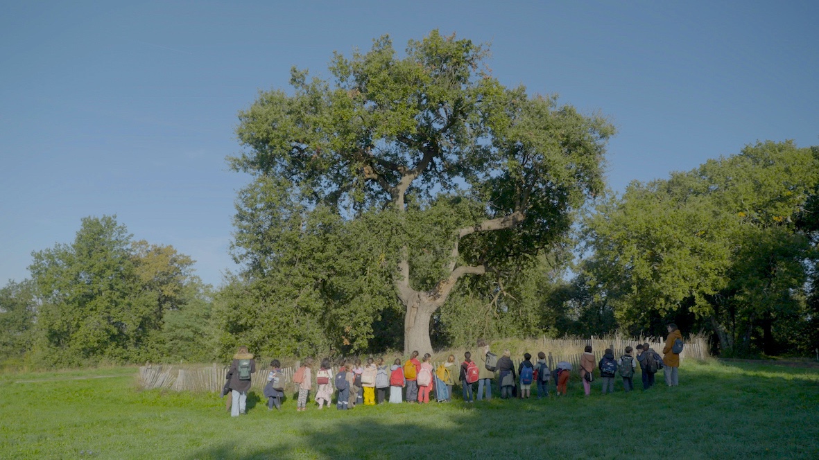 Ecole dehors 1 - Blandine Armand - Documentaires